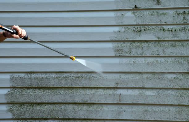 Best Driveway Pressure Washing  in Windcrest, TX